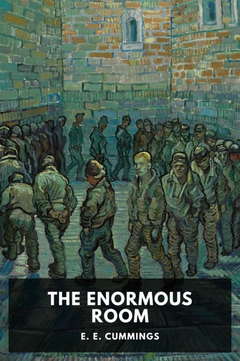 e-e-cummings_the-enormous-room-68aa0704-cover@2x.jpg The Enormous Room - Image 1