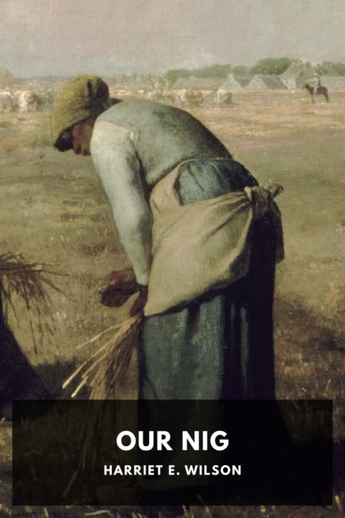 harriet-e-wilson_our-nig-afecd73a-cover@2x.jpg Our Nig - Image 1