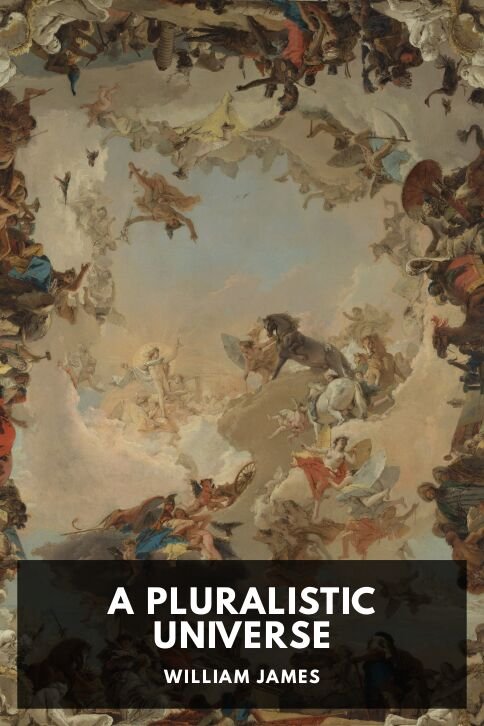 william-james_a-pluralistic-universe-da317f63-cover@2x.jpg A Pluralistic Universe - Image 1